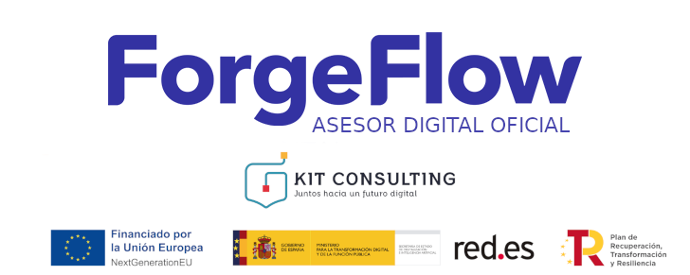 Asesor Digital Oficial Programa Kit Consulting